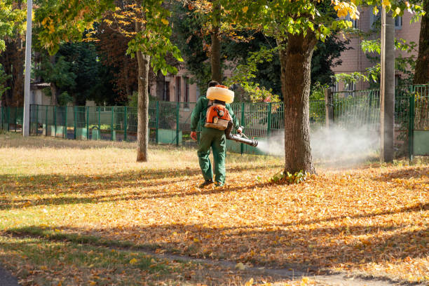 Best Pest Control for Businesses  in Adelphi, MD